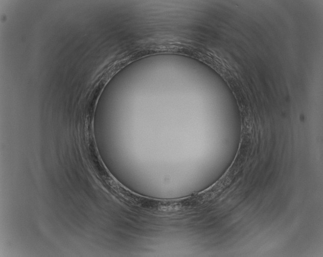 X0000078250744200611030854