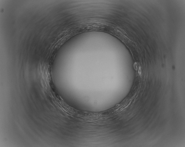 X0000078250771200611030854
