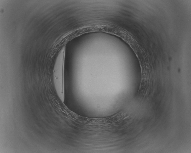 X0000078250773200611030854