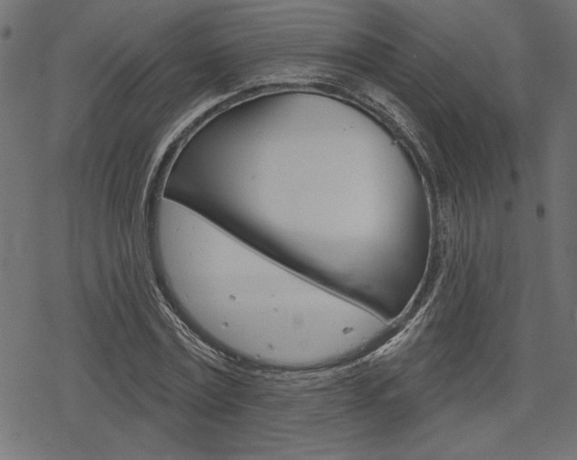 X0000078250779200611030853