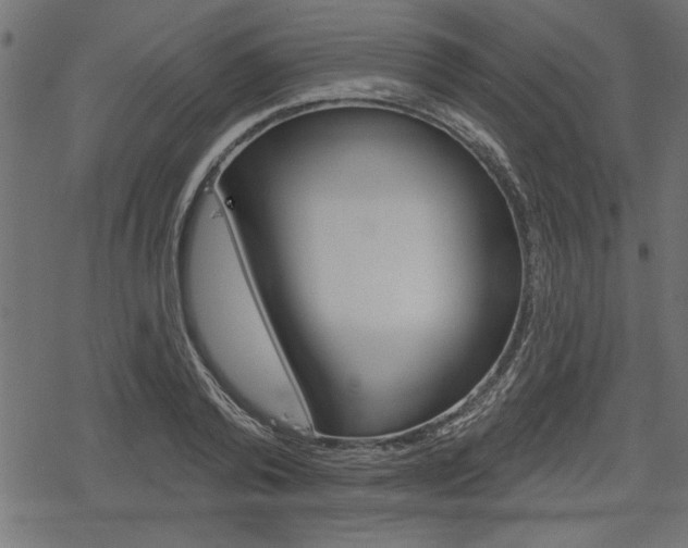 X0000078250792200611030853