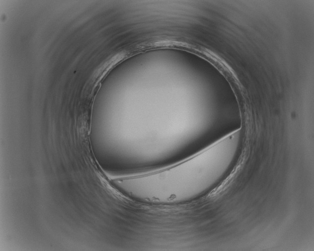 X0000078250801200611030853