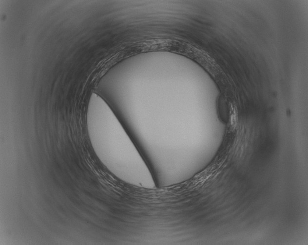 X0000078250819200611030852