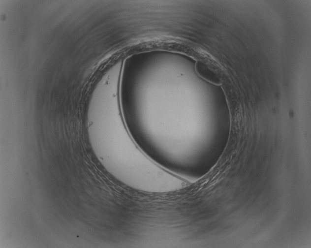 X0000078250822200611030852
