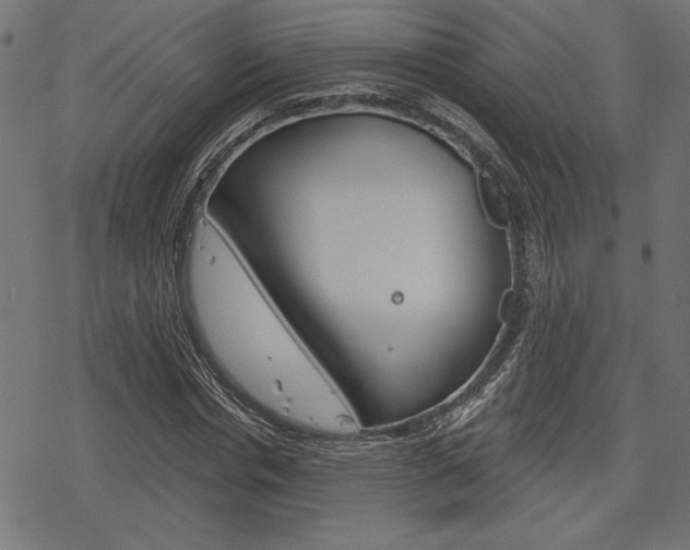 X0000078250826200611030852