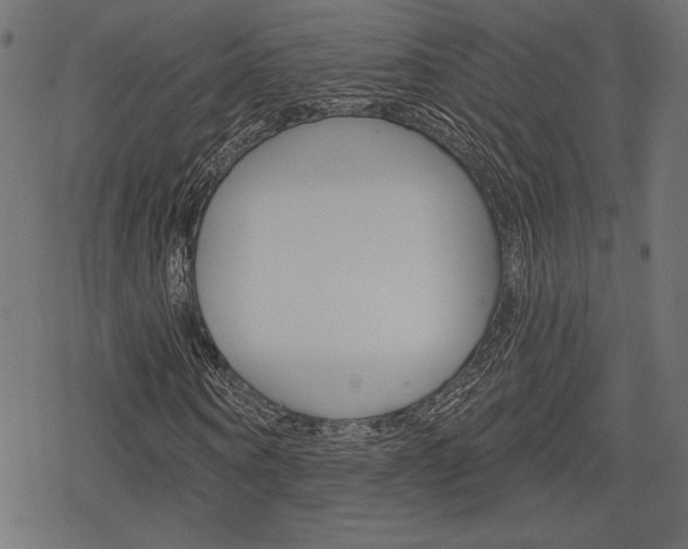 X0000078250866200611030852