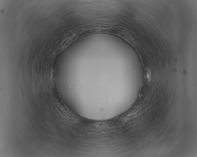 X0000078250867200611030852