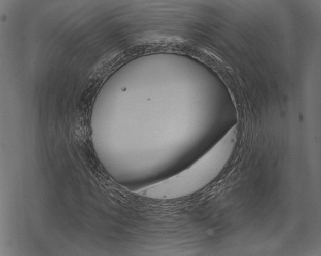 X0000078250869200611030852