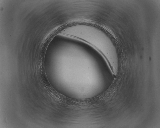 X0000078250872200611030852