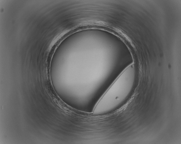X0000078250877200611030852