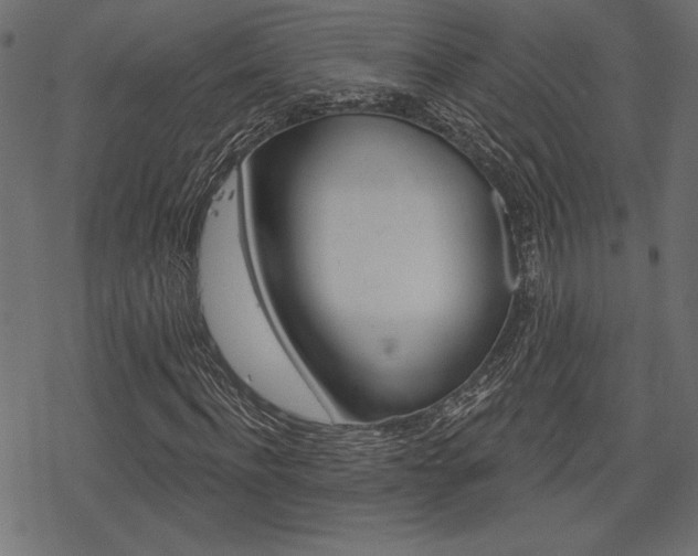 X0000078250916200611030851