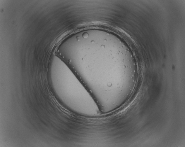 X0000078250921200611030851