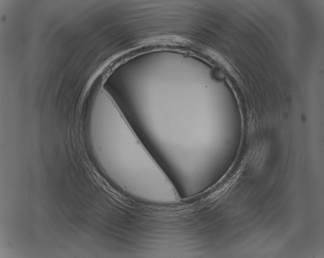 X0000078250923200611030851