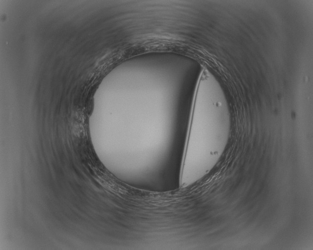 X0000078250964200611030850