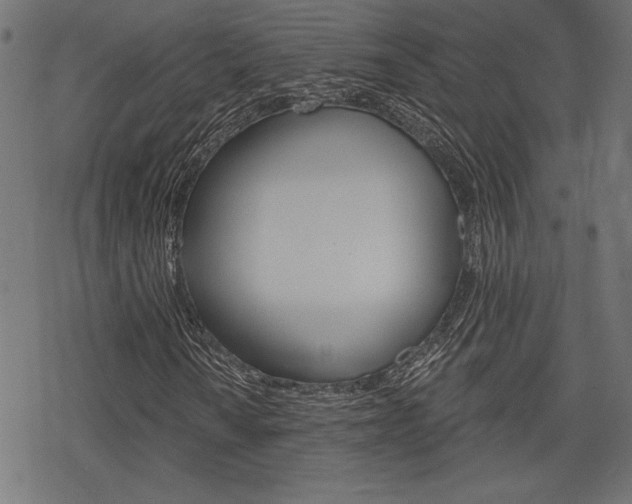 X0000078251010200611030849