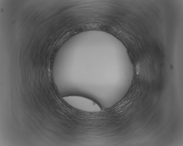 X0000078251011200611030849