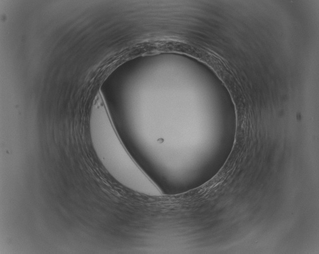 X0000078251014200611030849
