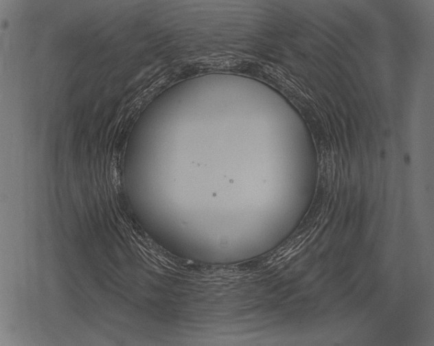 X0000078251058200611030849