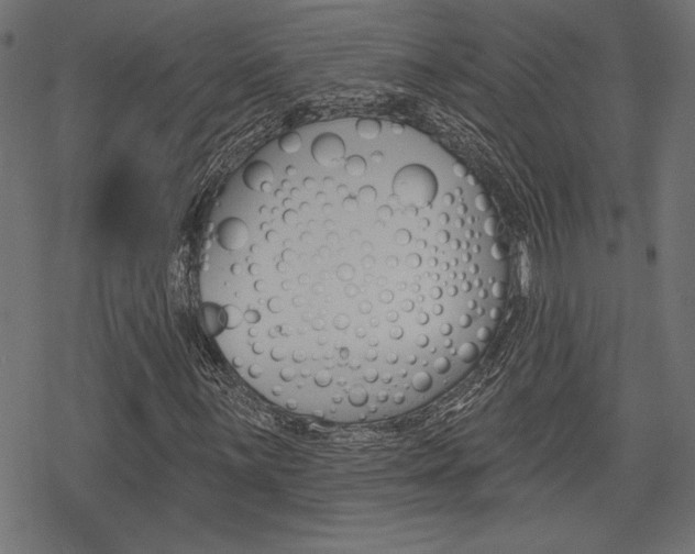 X0000078251059200611030849