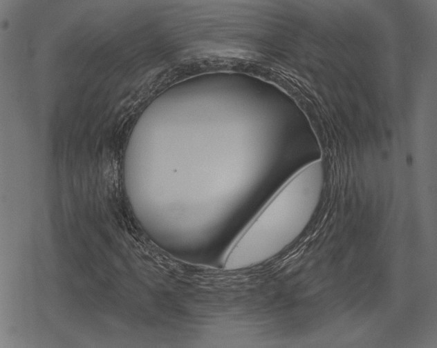 X0000078251061200611030849