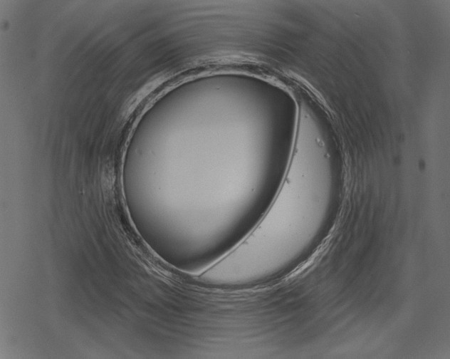 X0000078251065200611030849