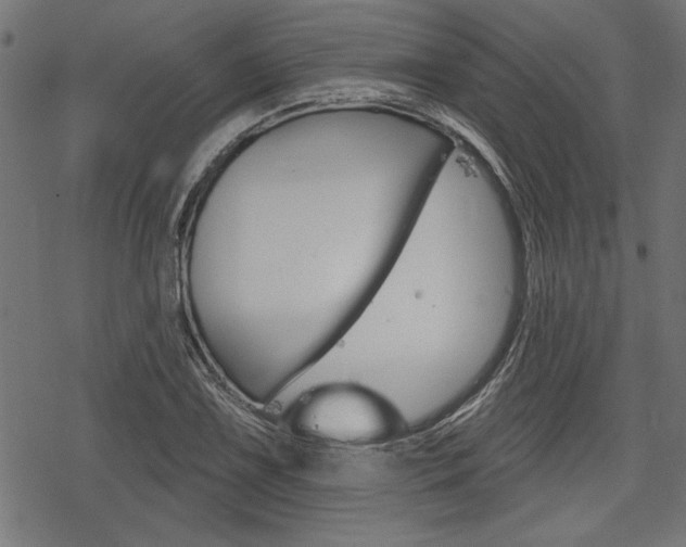 X0000078251075200611030849