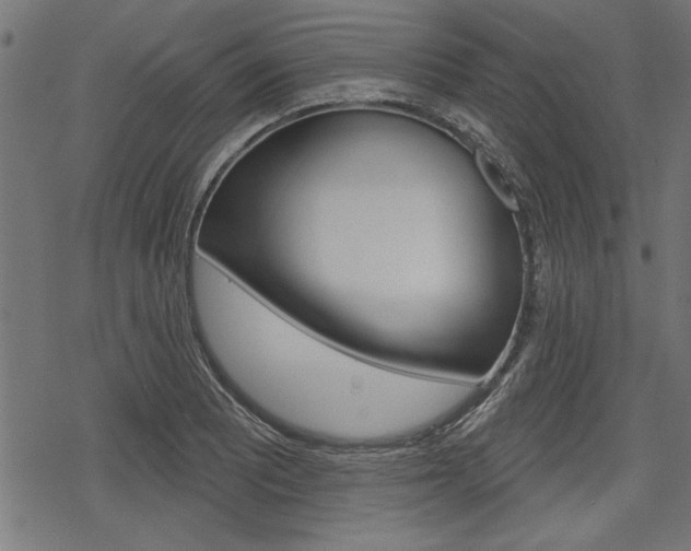 X0000078251081200611030848
