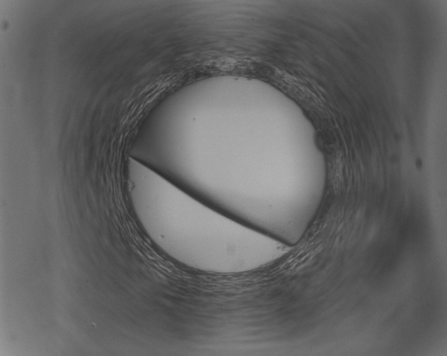 X0000078251105200611030847