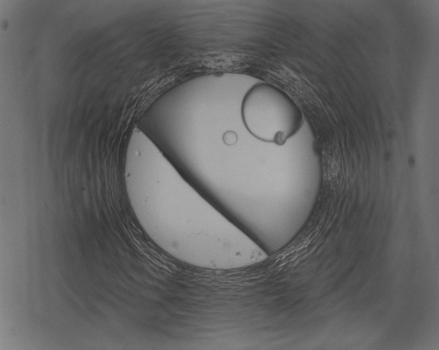 X0000078251106200611030847