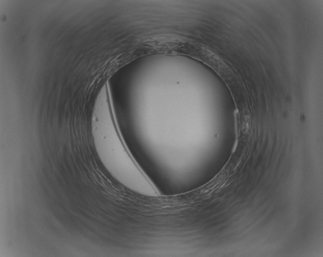 X0000078251108200611030847