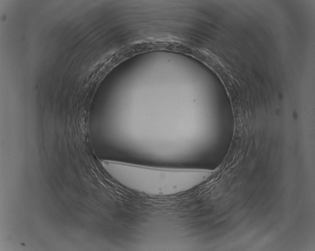 X0000078251110200611030847