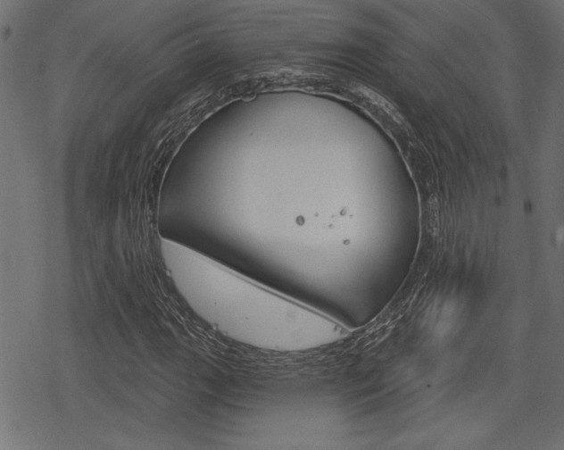 X0000078251111200611030847