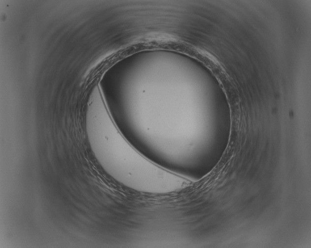 X0000078251112200611030847