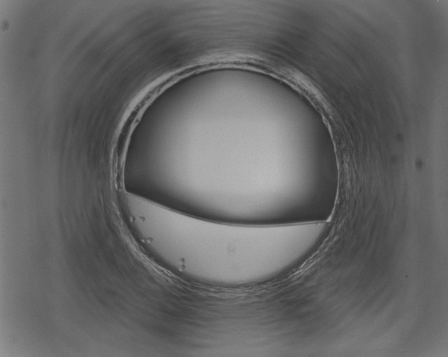 X0000078251124200611030848
