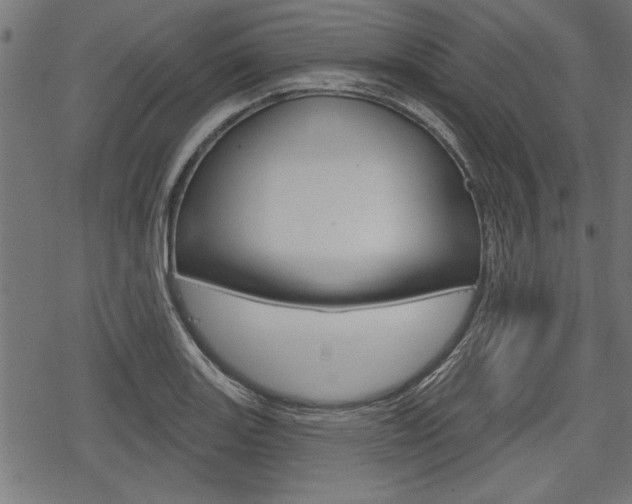 X0000078251131200611030848