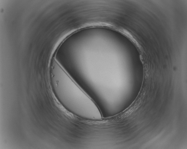 X0000078251140200611030848