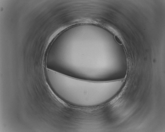 X0000078251141200611030848