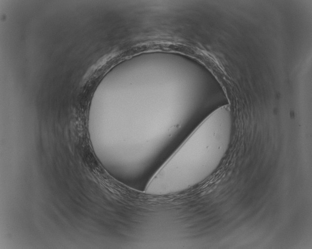 X0000078251159200611030847