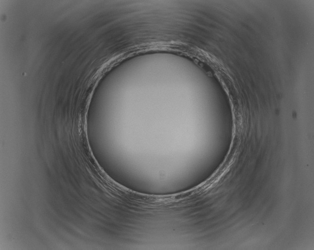 X0000078251161200611030847
