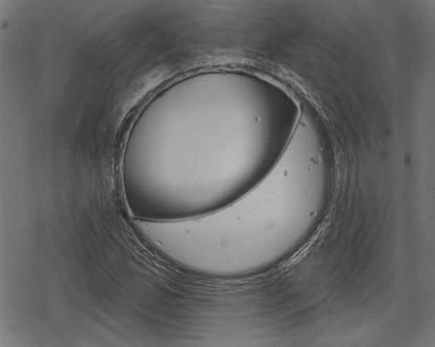 X0000078251165200611030847
