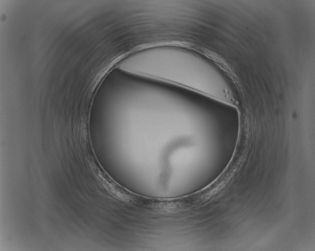 X0000078251177200611030847