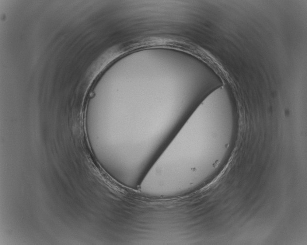 X0000078251178200611030847