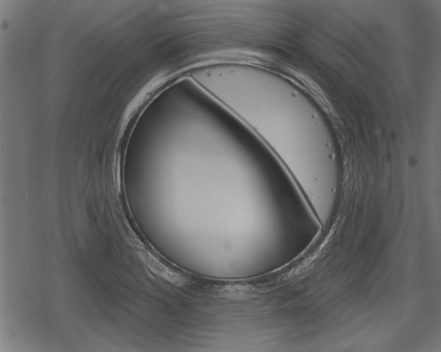 X0000078251180200611030847