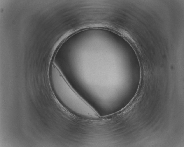 X0000078251181200611030847