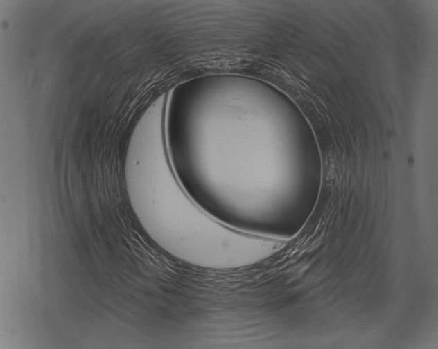 X0000078251202200611030846