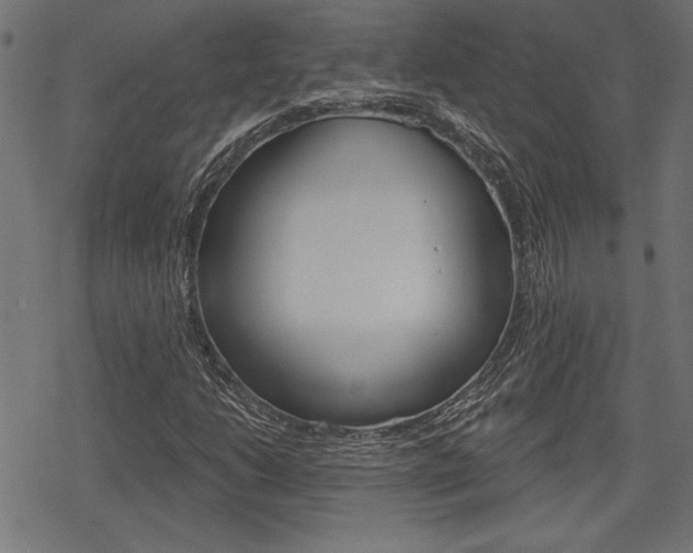 X0000078251206200611030846