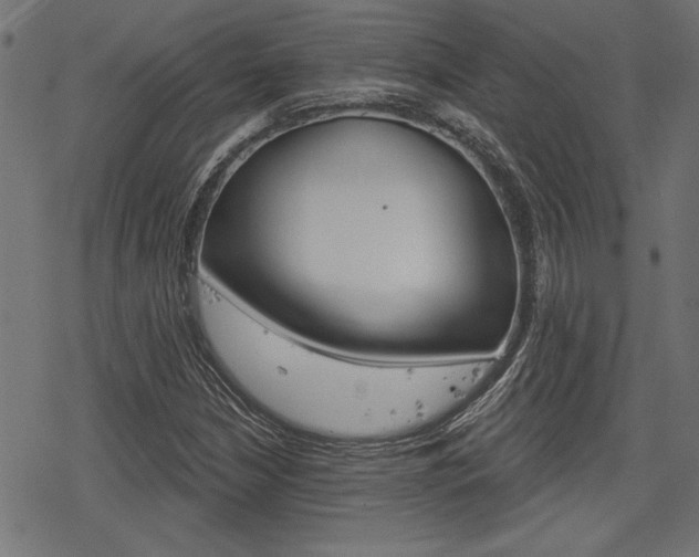 X0000078251210200611030846