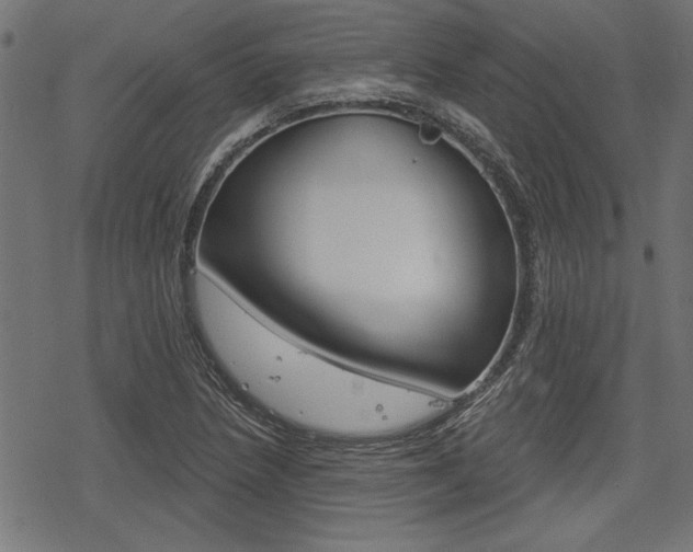 X0000078251218200611030846