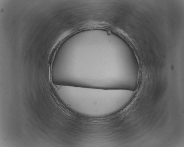 X0000078251219200611030846