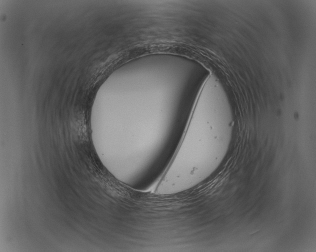 X0000078251252200611030846